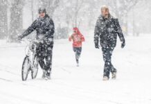 Обзор Приложений Погоды: Навигация в Штормах и Проблемах Конфиденциальности