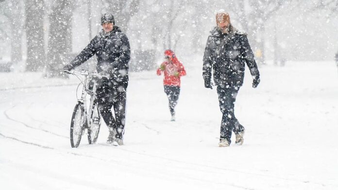 2125bec3-5674-41ff-823d-e0ead0dd3b85