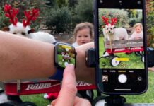 Aumente o nível das fotos de férias do seu iPhone: um guia profissional