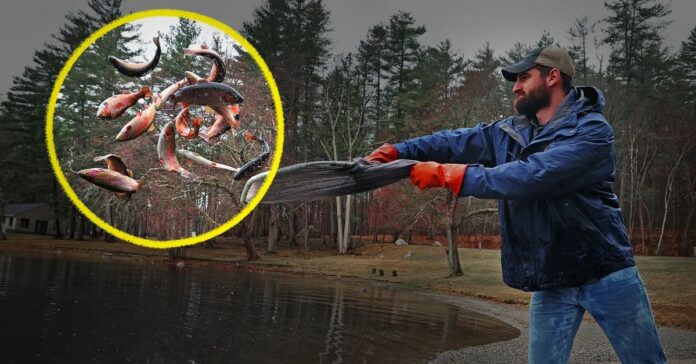 5792d1a3-5909-4bc0-88b3-1748d4f66811