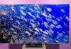 TCL QM8L: телевизор 2026 года, который действительно имеет значение