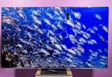 TCL’s QM8L: The 2026 TV That Actually Matters
